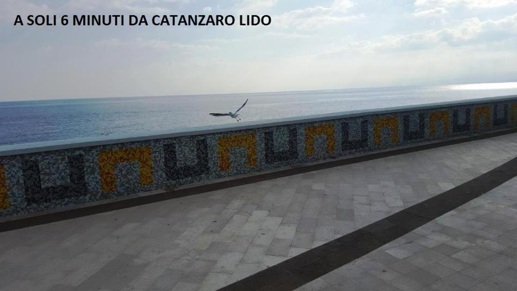 卡坦扎罗La Dimora Degli Artisti住宿加早餐旅馆 外观 照片